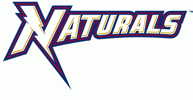 Northwest Arkansas Naturals 2008-Pres Wordmark Logo iron on heat transfer